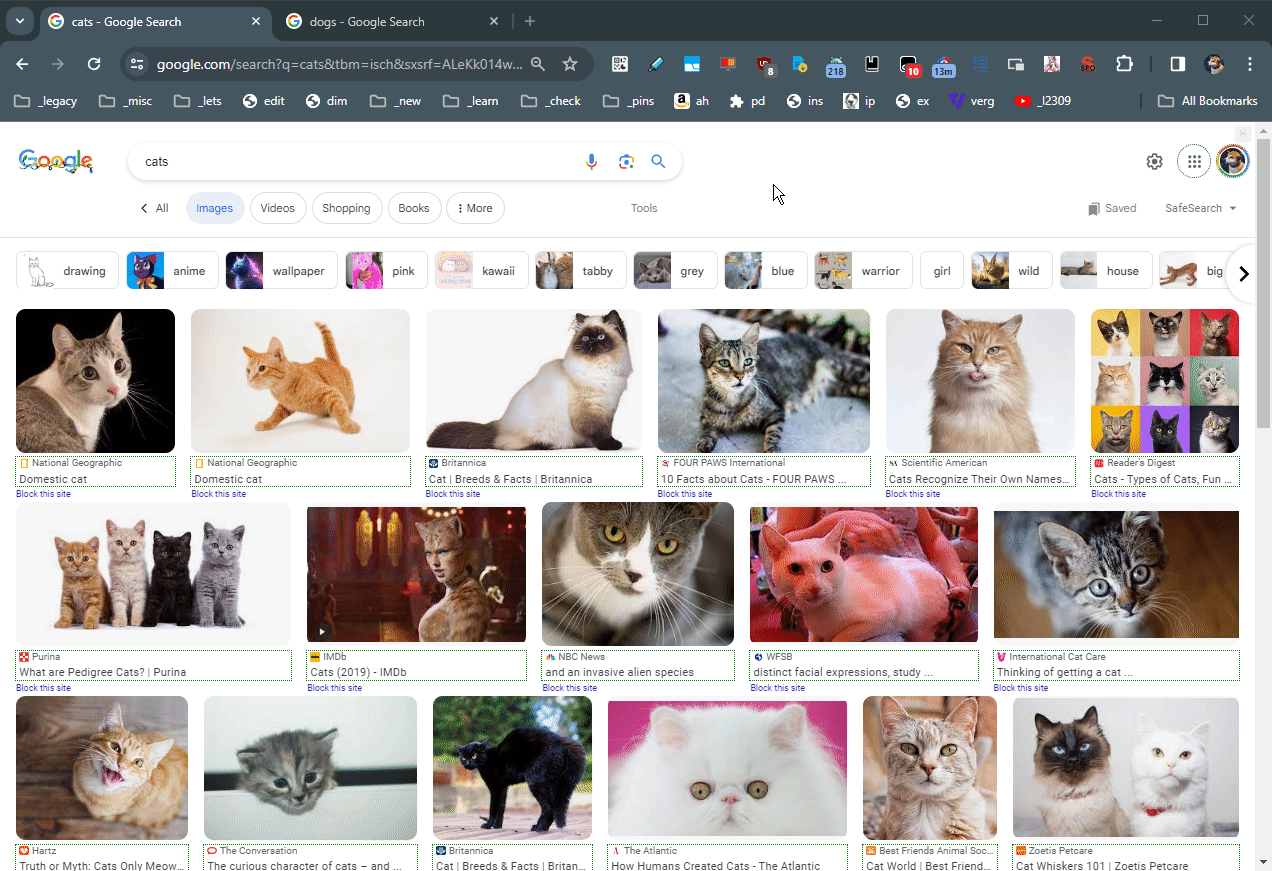 Erweiterung wie the great suspender